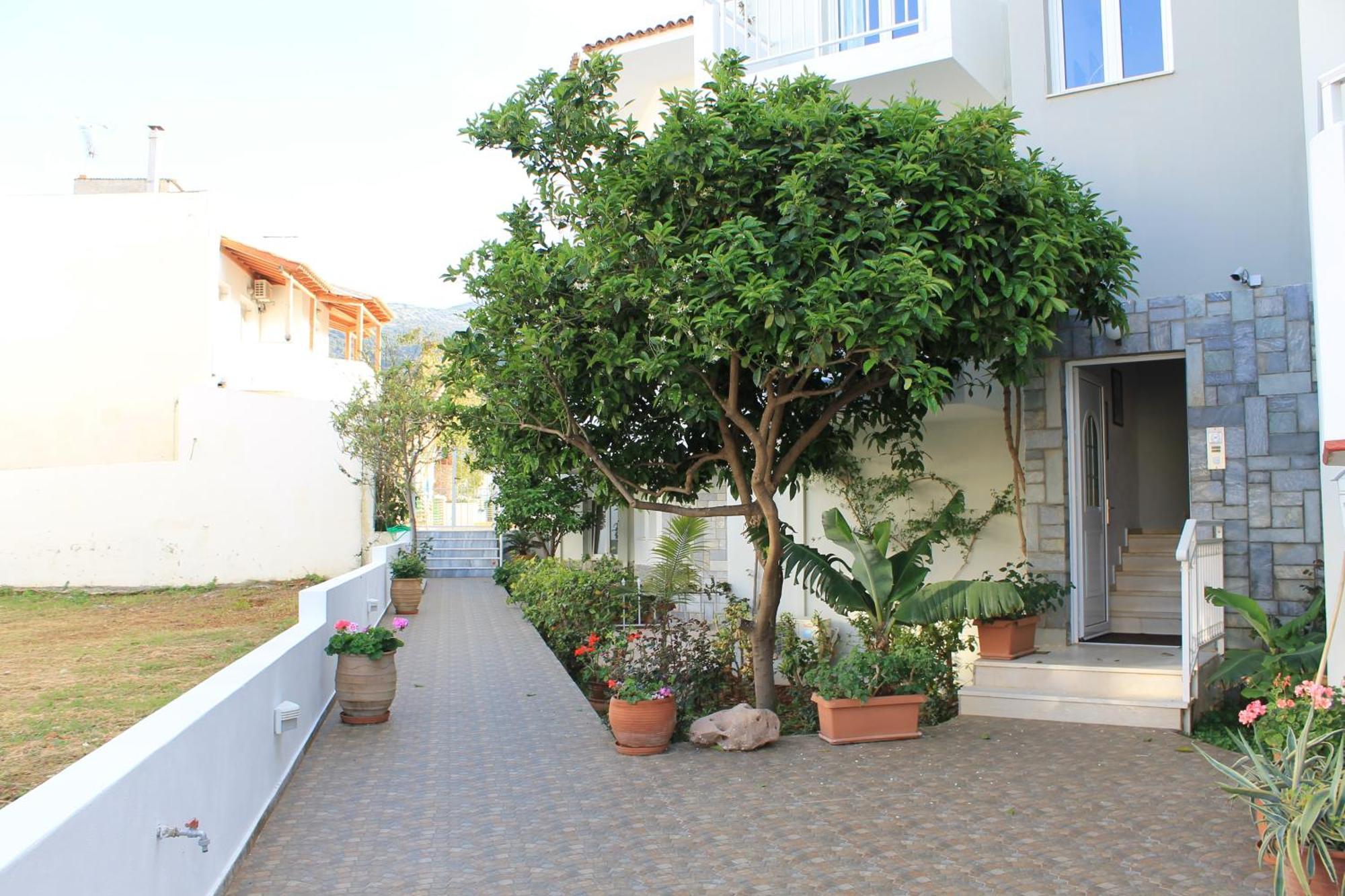 Melissa Apartments, Studios & Suites Mália Exterior foto